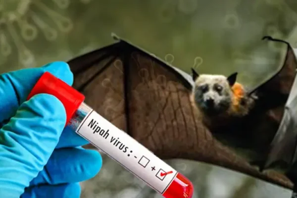 Nipah