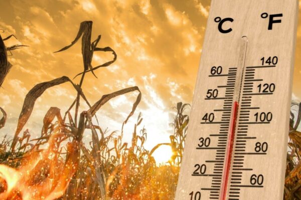 Prognoza meteo
