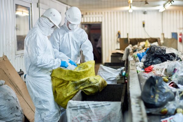 Economia circulară: afaceri care fac bani din reciclare și reutilizare