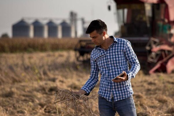 APIA dă startul plăţilor în avans pentru fermieri. Ce ajutoare vor fi acordate până la 31 decembrie